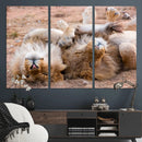 Lion Pair Wall Art Canvas Print – Framed Wildlife Scene with