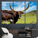 Longhorn and Cow Wall Art, Country Cow Wall Decor Canvas by MyGreatCanvas | Canvas Wall Art Prints | Photo Prints & Wall Decor