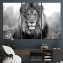 Black and White Lion Canvas Wall Art – Animal Print Artwork