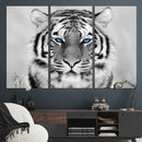 Black and White Tiger Wall Art Animal Canvas Print
