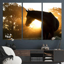 Horse at Sunset Wall Art Animal Canvas Print