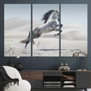 Prancing Horse Desert Large Wall Art Canvas Print – Majestic