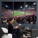 Washington-Grizzly Stadium Canvas Print, American Football