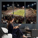 Washington-Grizzly Stadium Canvas Wall Art – Exciting Game