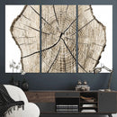 Abstract Wood Tree Ring Wall Art - Ready to Hang Minimalist
