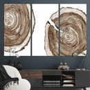 Wood Tree Ring Wall Art Canvas Prints, Tree Rings –