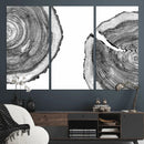 Abstract Large Tree Rings – Minimalist Black and White Wood