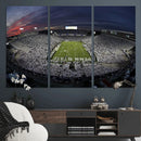 Penn State University Nittany Lions Football Team Print -