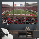 Wisconsin Badgers Team Print Canvas - Madison Camp Randall