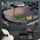 Michigan Wolverines Football Team Print - Ann Arbor Michigan