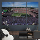 South Carolina Gamecocks Football Team Print - Columbia