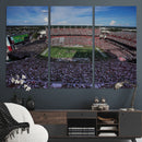 South Carolina Gamecocks Football Team Print - Columbia