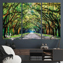 Serene Tree Tunnel Wall Art Canvas Print – Pathway Under by MyGreatCanvas | Canvas Wall Art Prints | Photo Prints & Wall Decor