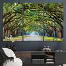 Wormsloe State Plantation Driveway Wall Art Canvas Print by MyGreatCanvas | Canvas Wall Art Prints | Photo Prints & Wall Decor