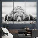 Resting Grizzly Bear Wall Art Canvas Print – Majestic Lazy by MyGreatCanvas | Canvas Wall Art Prints | Photo Prints & Wall Decor