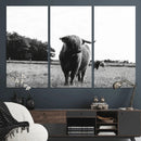 Black and White Highland Cow Wall Art Canvas Print | Rustic