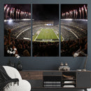 Eagles Field Stadium Wall Art - Philadelphia Eagles Football