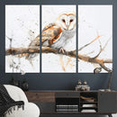 Barn Owl Wall Art on Branch | Stunning Canvas Print for