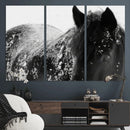 Black Horse in Snow Canvas Print | Winter Horse Wall Art |