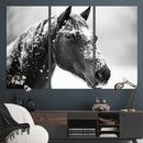 Horse Canvas Print - Winter Horse Snow Wall Art Canvas Print