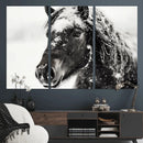 Framed Black and White Horse Wall Art | Ready to Hang and by MyGreatCanvas | Canvas Wall Art Prints | Photo Prints & Wall Decor