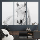 Majestic White Horse Wall Art | Ready to Hang and Framed |