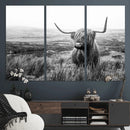 Scottish Highland Cow Wall Art | Black and White Canvas