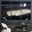 Honda Center California Anaheim Ducks Hockey Stadium Wall