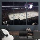 Honda Center California Anaheim Ducks Hockey Stadium Wall