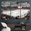 Lausanne Arena Ice Hockey Stadium Wall Art Canvas Print, by MyGreatCanvas | Canvas Wall Art Prints | Photo Prints & Wall Decor