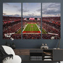 Florida Tampa Raymond James Stadium Wall Art Canvas Print -