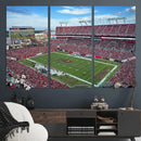 Florida Tampa Raymond James Stadium Wall Art Canvas Print -