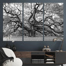Black White Angel Oak Tree Wall Art - Timeless