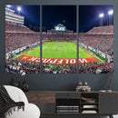 NC State Wolfpack Canvas Print - Raleigh Carter-Finley