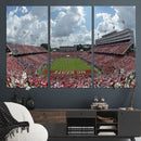 NC State Wolfpack Football Team Print Canvas- Raleigh