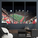 Houston Cougars Football Team Print - Houston TDECU Stadium by MyGreatCanvas | Canvas Wall Art Prints | Photo Prints & Wall Decor
