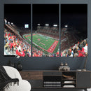 Houston Cougars Football Team Print - Houston TDECU Stadium