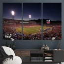 Virginia Cavaliers Football Team Print - Charlottesville