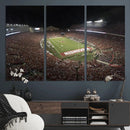 Wisconsin Badgers Football Team Print - Madison Camp Randall