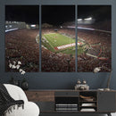Wisconsin Badgers Football Team Print - Madison Camp Randall