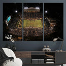 Wake Forest University Demon Deacons Canvas Printi, Football