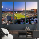 University of North Texas Mean Green Football Team Print - by MyGreatCanvas | Canvas Wall Art Prints | Photo Prints & Wall Decor
