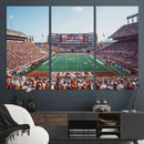 Framed Texas Memorial Stadium Canvas, University of Texas