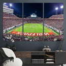 Wolfpack Football Team Print - Raleigh Carter-Finley Stadium