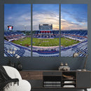 Florida Atlantic University Owls Football Team Print - Boca by MyGreatCanvas | Canvas Wall Art Prints | Photo Prints & Wall Decor