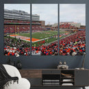 University of Illinois Fighting Illini Football Team Print - by MyGreatCanvas | Canvas Wall Art Prints | Photo Prints & Wall Decor