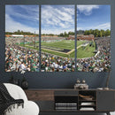 University of Charlotte 49ers Football Team Print - by MyGreatCanvas | Canvas Wall Art Prints | Photo Prints & Wall Decor
