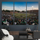 University of Charlotte 49ers Football Team Print - by MyGreatCanvas | Canvas Wall Art Prints | Photo Prints & Wall Decor