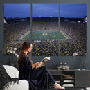 University of Michigan Wolverines Football Team Print - Ann