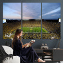 University of Michigan Wolverines Football Team Print - Ann